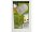 LED Jumbo Lampe E27 42W "G480n"4198lm, 4200K, neutralweiß, ØxH 14x24cm
