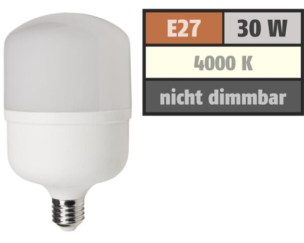 LED Lampe McShine BIG30 E27, 30W, 2800lm, 100x191mm, neutralweiß