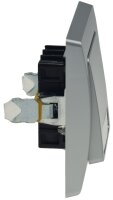 DELPHI Taster mit Namensschild 250V~/ 10A, inkl. Rahmen, UP, silber