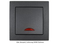 Schalter McPower Flair, 250V~/10A, UP, anthrazit mit...